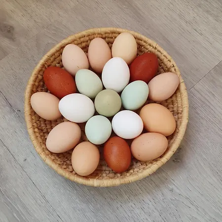 Juka * مونستر
