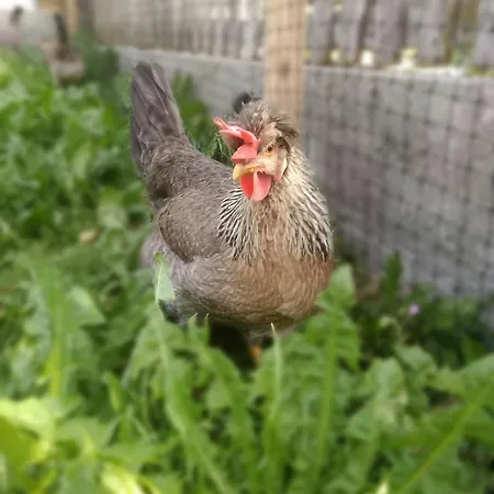 Apartment Juka Münster