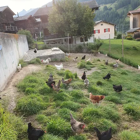 Apartamento Juka Münster