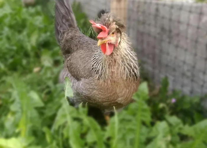 Apartamento Juka Münster