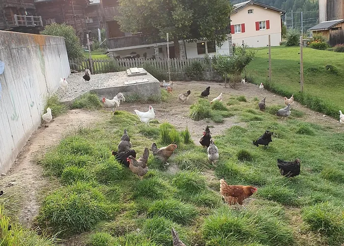 Apartamento Juka Münster