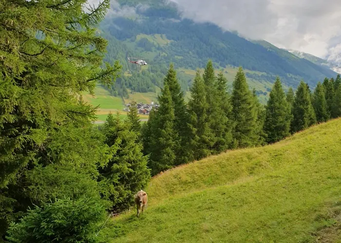 Apartment Juka Munster